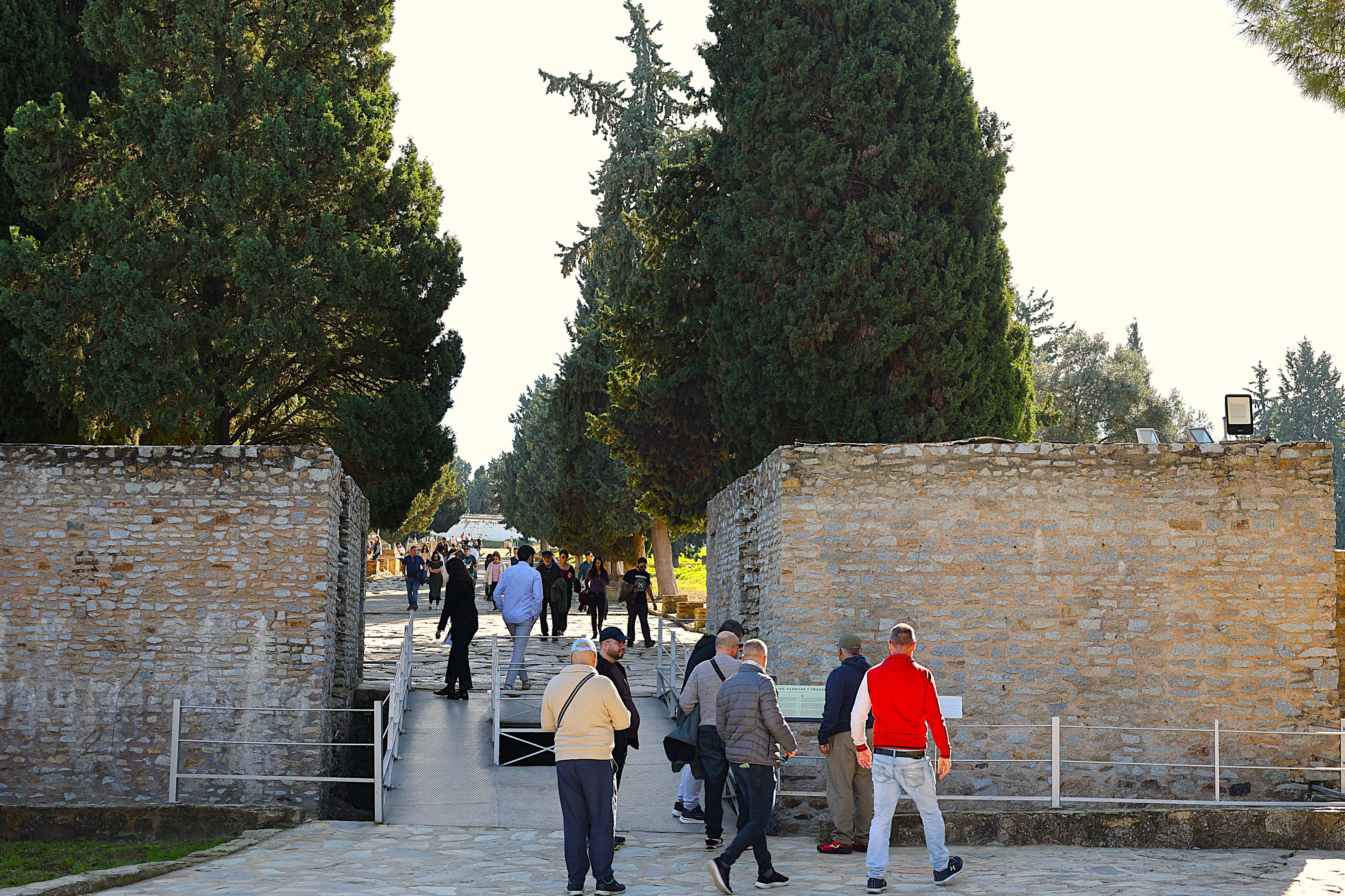 Italica